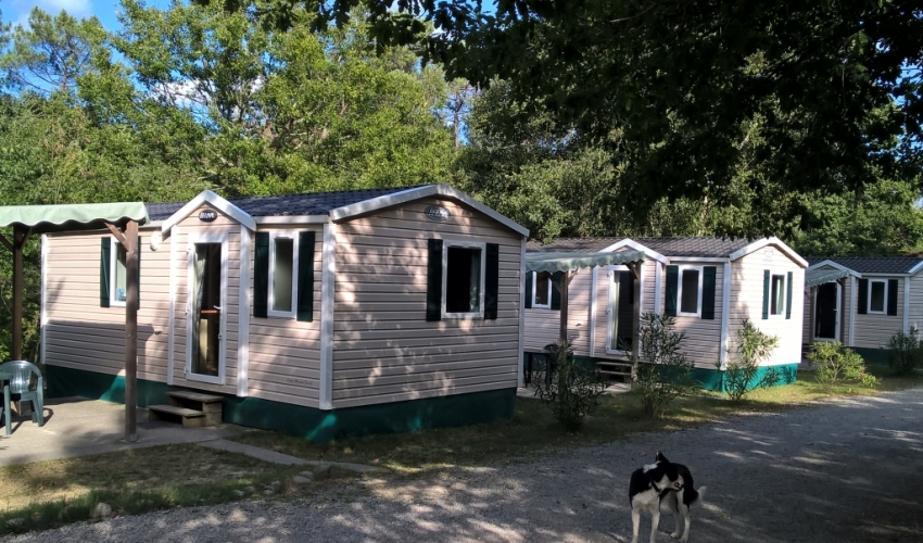 Camping la Régate - Ariège Pyrenées